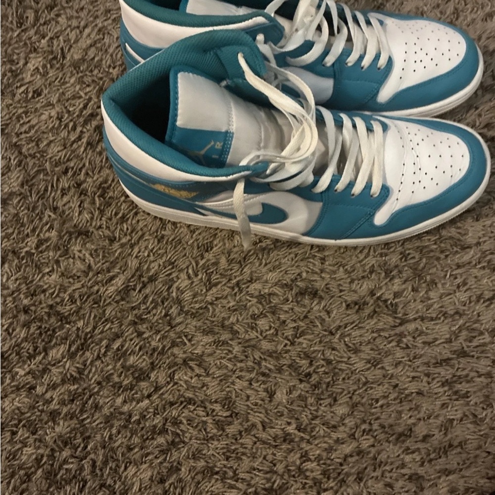 Jordan Teal and White Sneakers